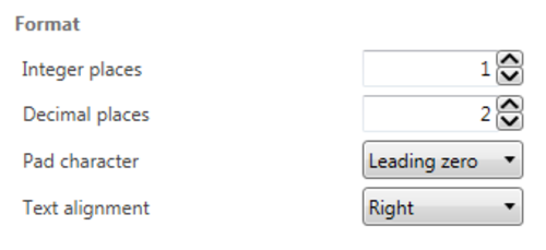 Screenshot of the Format settings.