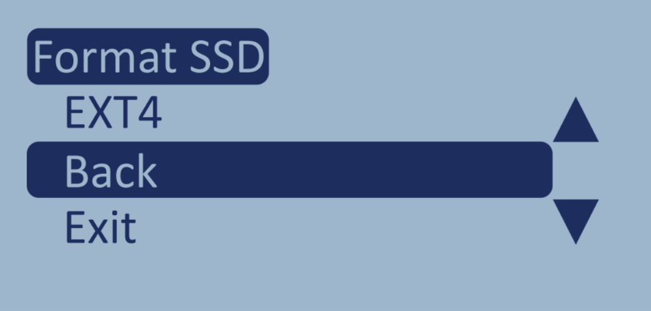 Screenshot of the Format SSD menu with Back highlighted.