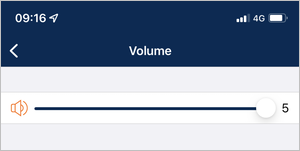 Cropped screenshot of the Volume settings. 
