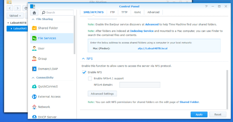 Synology DSM File Services settings showing NFS network file sharing configuration options.