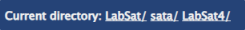 Screenshot of the current directory filepath.