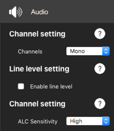 Screenshot of the Audio Settings.