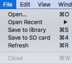 Screenshot of the File menu.