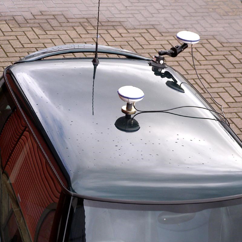 ant3