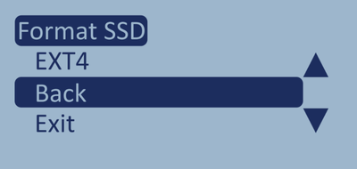 Screenshot of the Format SSD menu with Back highlighted.