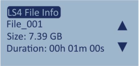 Screenshot of the File Information screen.