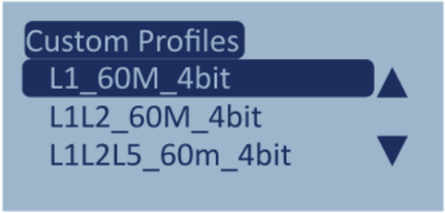Screenshot of the Load Custom Profile menu with 'L1_60M_4bit' highlighted.