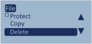 Screenshot of the LabSat 4 File menu with the Delete option highlighted.