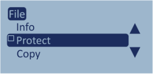 Screenshot of the LabSat 4 File Menu with the Protect option highlighted.