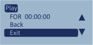 Screenshot of the Play Options menu with Exit highlighted.